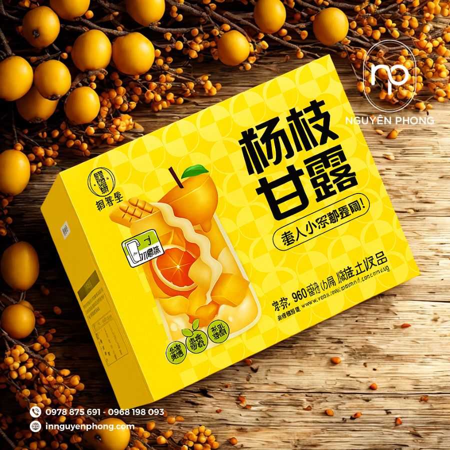 in-hop-carton dung-xoai-gia-re-tai=ha-noi